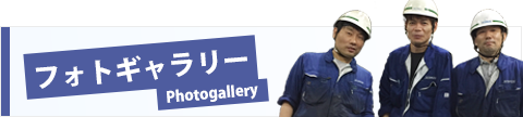 tHgM[